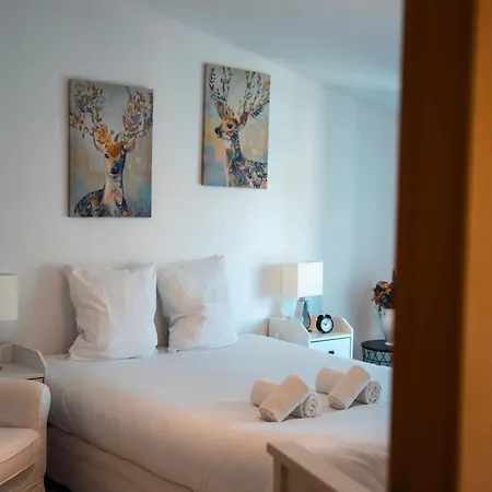 Апартаменты C'est Maison Bleue Каркассон